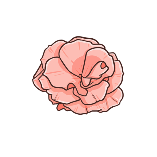 Conception florale Conception florale